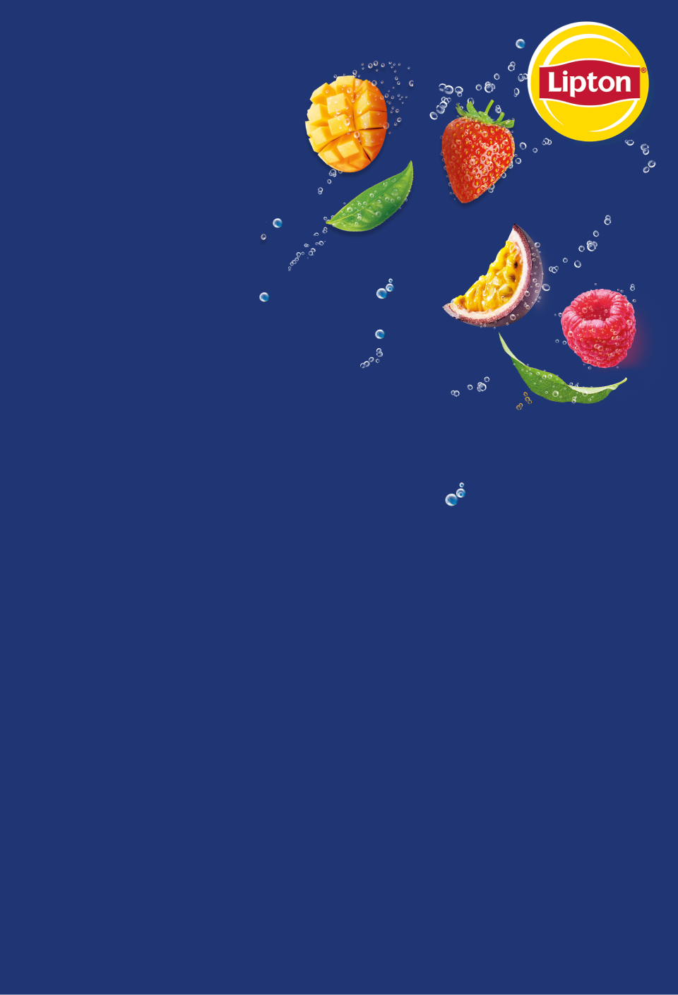 Lipton - Kombucha